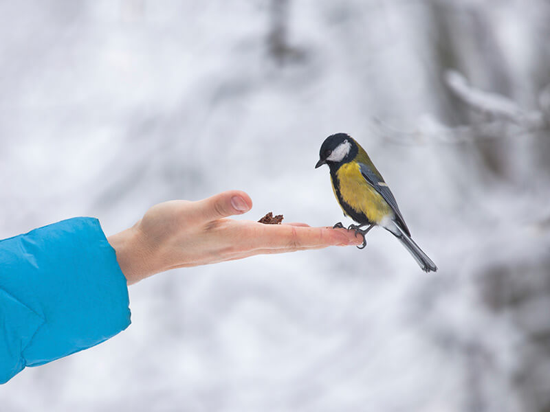 1. Sonntag der Passionszeit – Invokavit